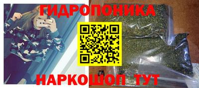 ПСИЛОЦИБИНОВЫЕ ГРИБЫ Гатчина