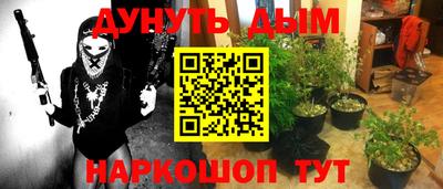ПСИЛОЦИБИНОВЫЕ ГРИБЫ Гатчина