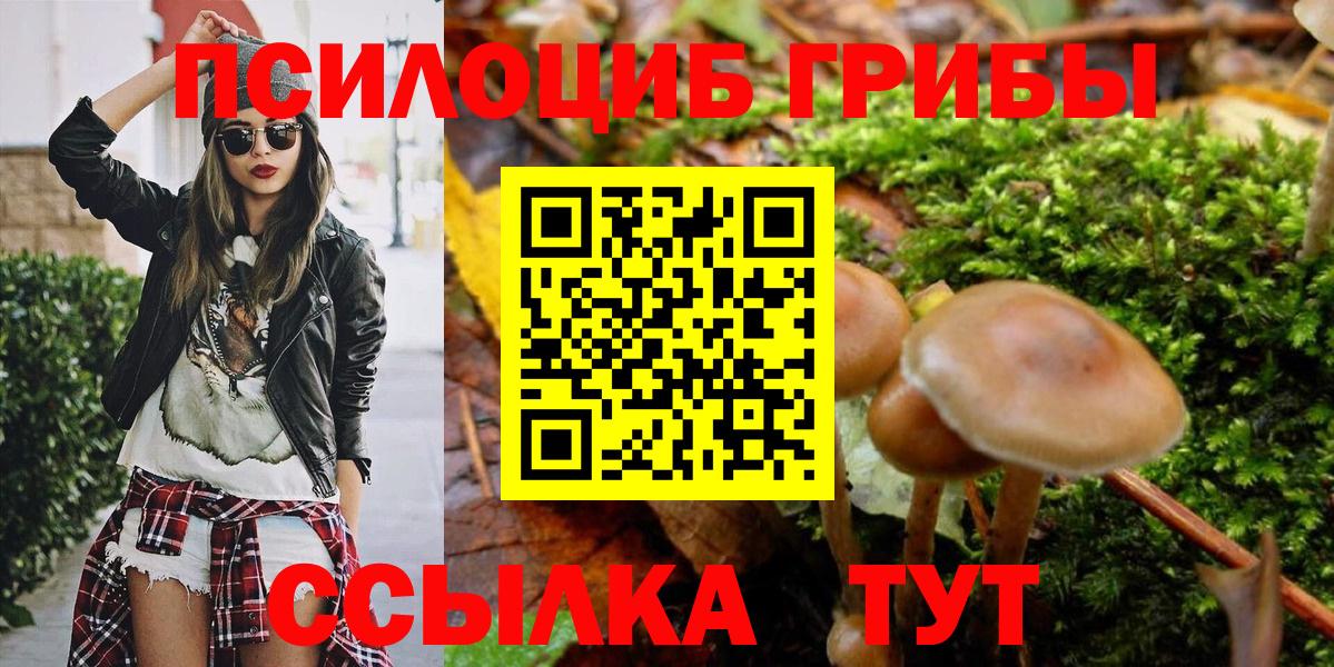 продажа наркотиков  Псилоцибиновые грибы Magic Shrooms  Вход с VPN  Осинники 
