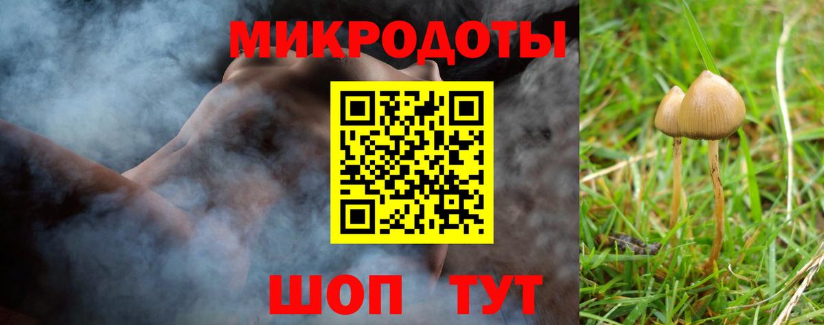 Галлюциногенные грибы мицелий Осинники